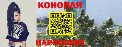 спайс Берёзовский