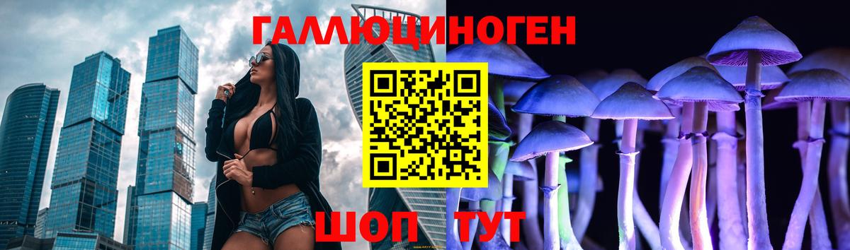 Галлюциногенные грибы Cubensis Касимов